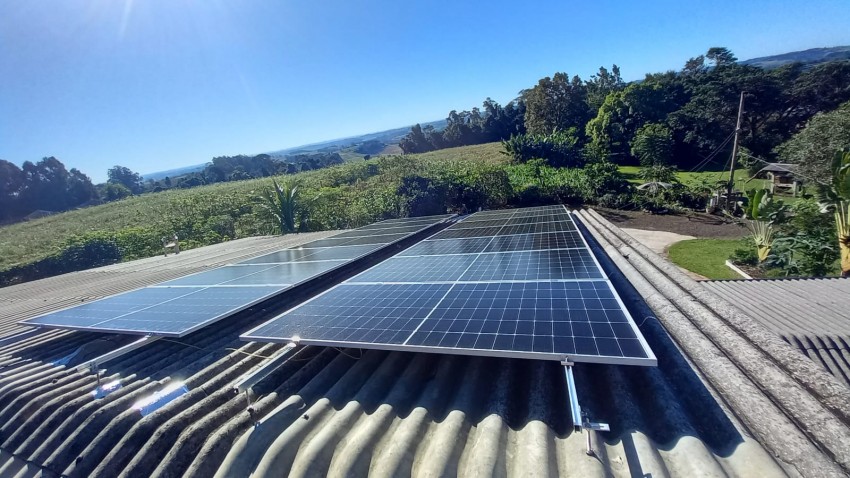 Adriane Eli Dalto�