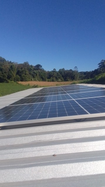 DEMETRIO DEMARTINI SEGUNDO