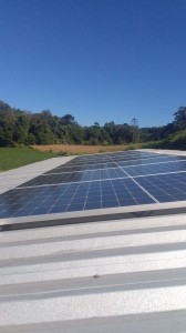 DEMETRIO DEMARTINI SEGUNDO