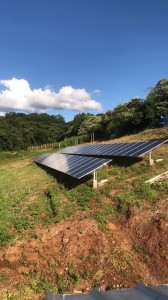 Anti Chama - Jaime Luiz Fontana